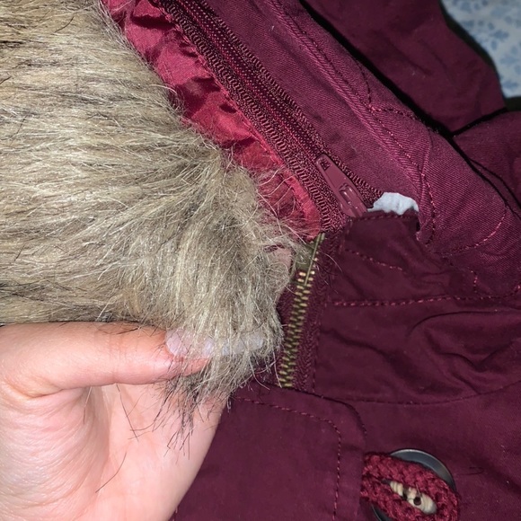 Winter Jacket - Picture 3 of 4